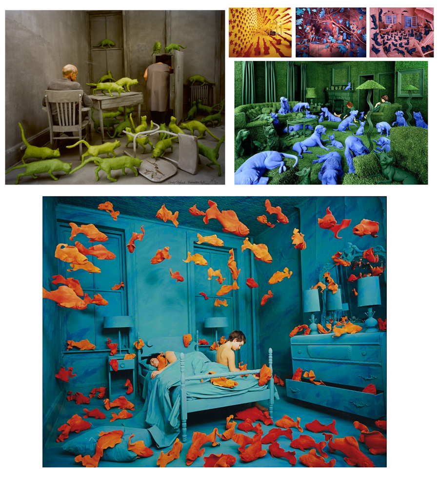 Sandy Skoglund install